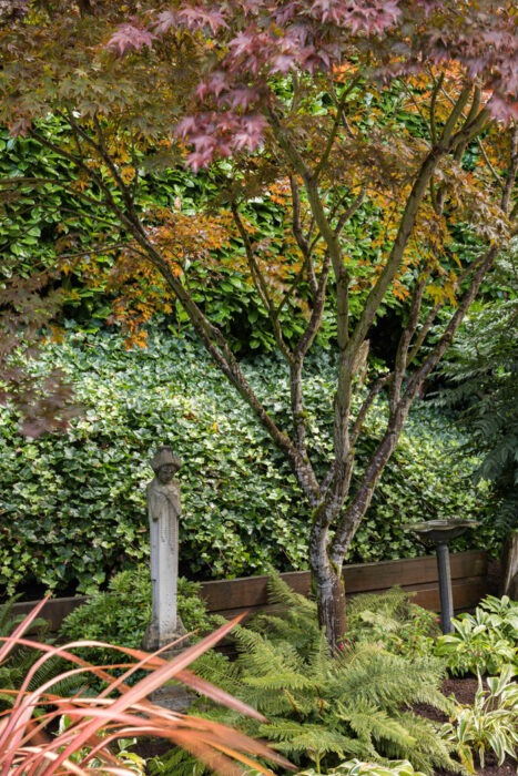 Frank Lloyd Wright inspired home Seattle - Japanese Maple